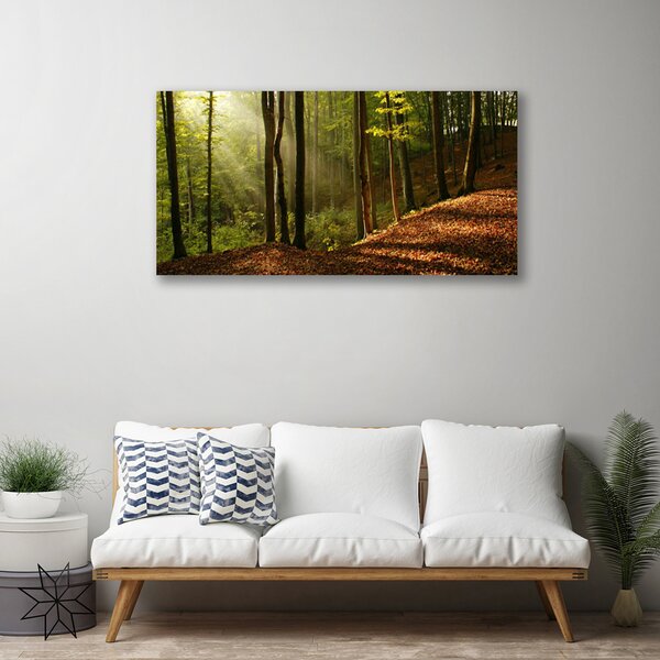 Tablou pe panza canvas Natural Pădurea Verde Maro