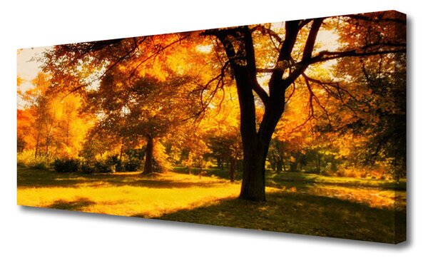 Tablou pe panza canvas Copaci Natura Verde Brun Galben