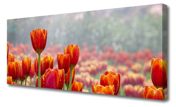 Tablou pe panza canvas Lalele Floral Red