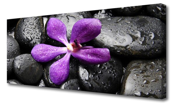 Tablou pe panza canvas Pietrele de flori Arta roz negru