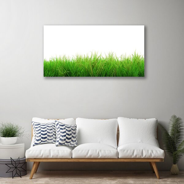 Tablou pe panza canvas Iarbă Natura verde