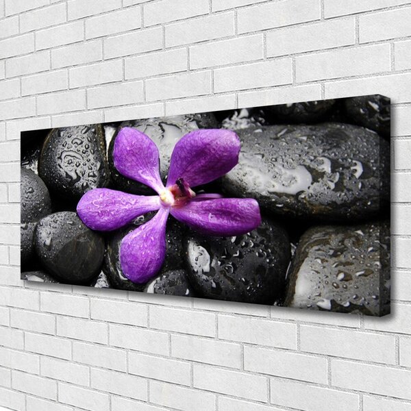 Tablou pe panza canvas Pietrele de flori Arta roz negru