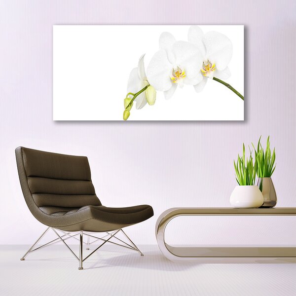 Tablou pe sticla Flori Floral alb