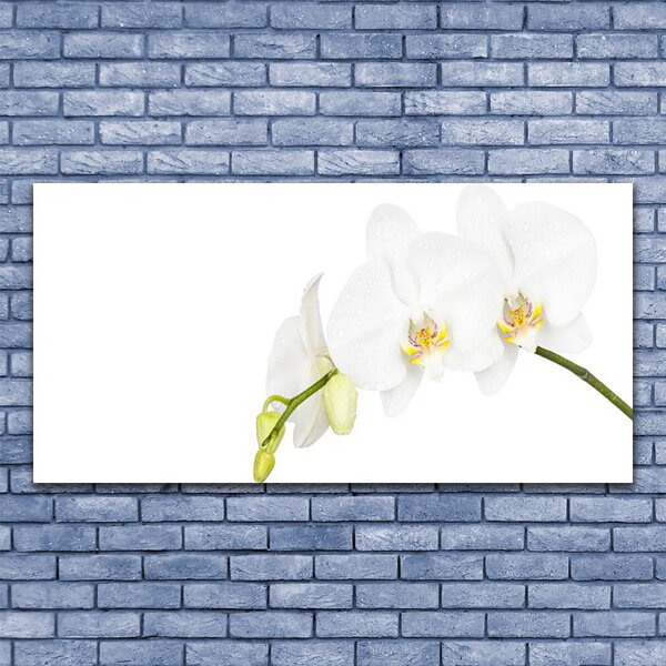 Tablou pe sticla Flori Floral alb