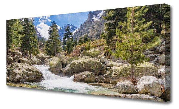 Tablou pe panza canvas Mountain Stones Lake Forest Natura Gri Maro Verde Alb