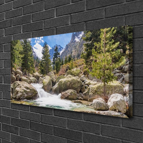 Tablou pe panza canvas Mountain Stones Lake Forest Natura Gri Maro Verde Alb