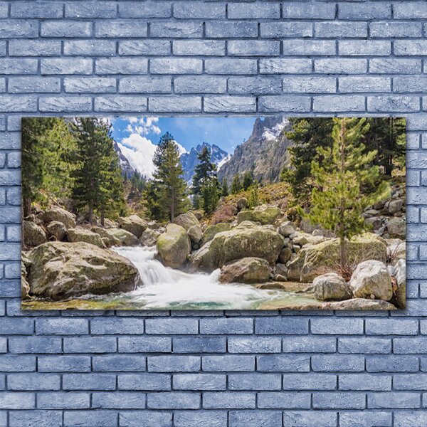 Tablou pe panza canvas Mountain Stones Lake Forest Natura Gri Maro Verde Alb