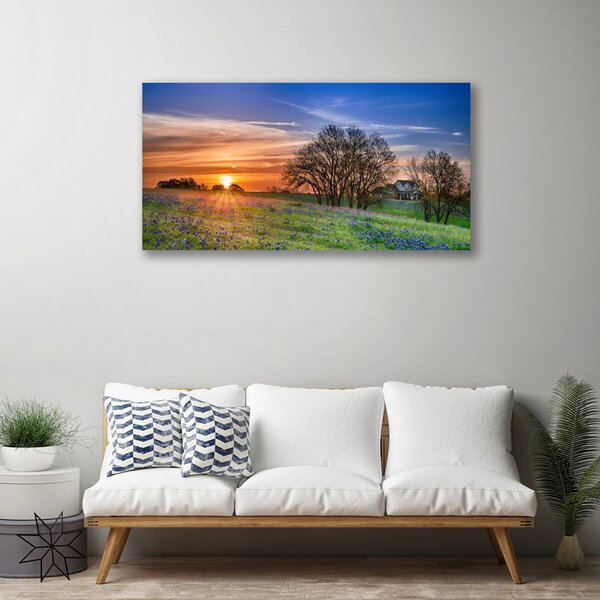 Tablou pe panza canvas Meadow Sun Peisaj Galben Verde