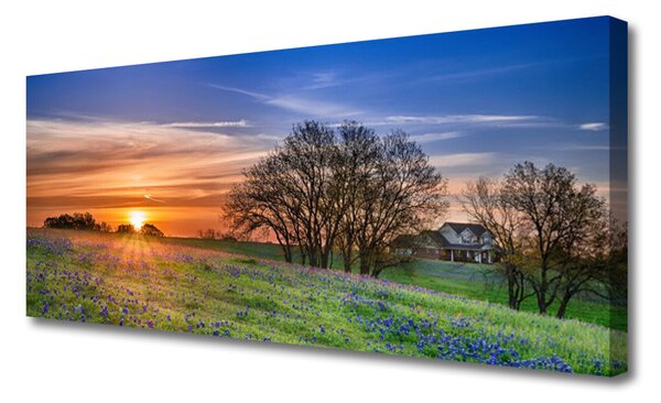 Tablou pe panza canvas Meadow Sun Peisaj Galben Verde
