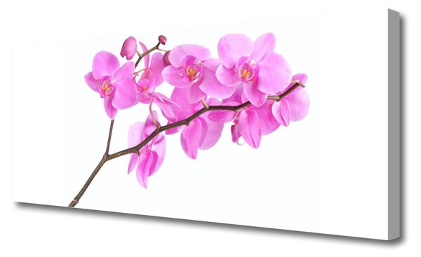 Tablou pe panza canvas Flori roz Floral