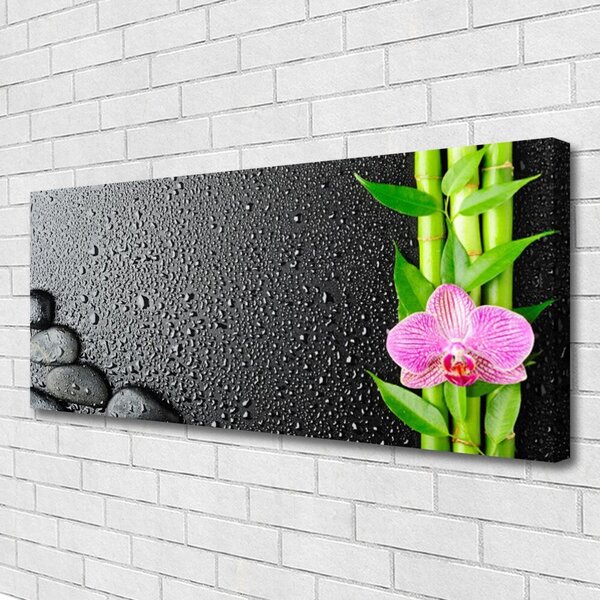 Tablou pe panza canvas Bamboo Peduncul flori Stones verde florale roz negru
