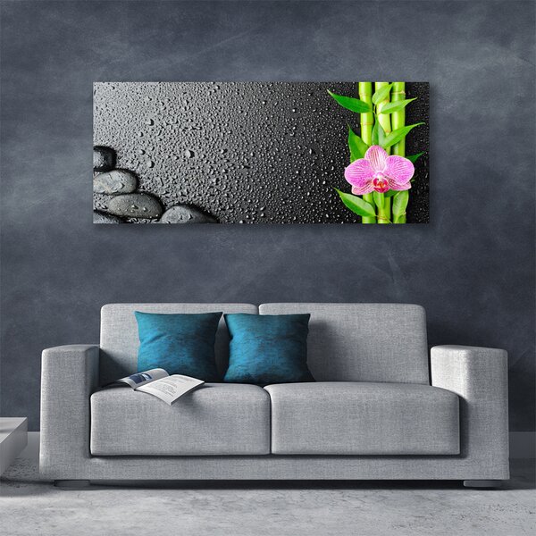 Tablou pe panza canvas Bamboo Peduncul flori Stones verde florale roz negru