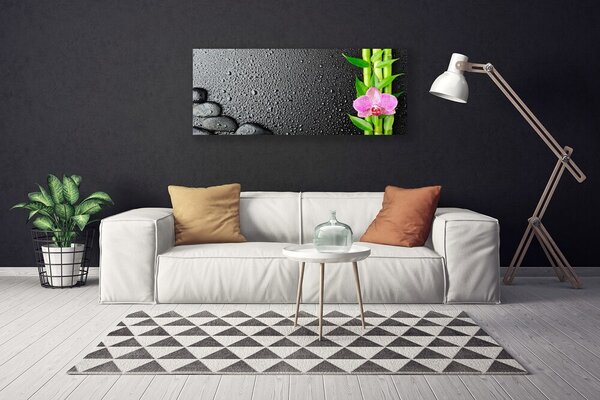 Tablou pe panza canvas Bamboo Peduncul flori Stones verde florale roz negru