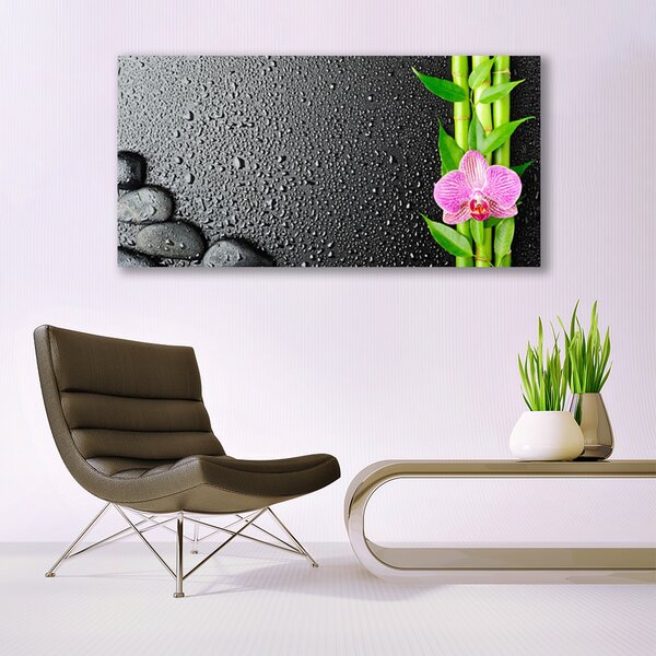 Tablou pe sticla Bamboo Peduncul flori Stones verde florale roz negru