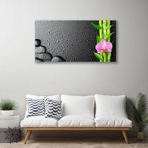 Tablou pe panza canvas Bamboo Peduncul flori Stones verde florale roz negru