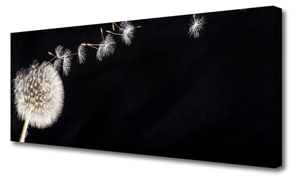 Tablou pe panza canvas Păpădie Floral Alb