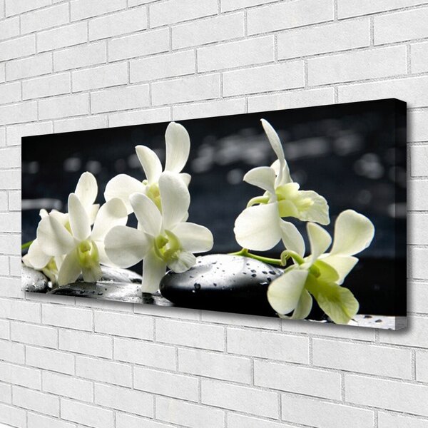 Tablou pe panza canvas Pietre florale flori alb negru