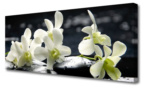 Tablou pe panza canvas Pietre florale flori alb negru