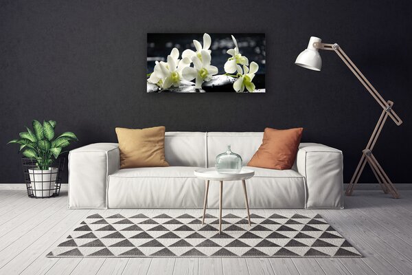 Tablou pe panza canvas Pietre florale flori alb negru