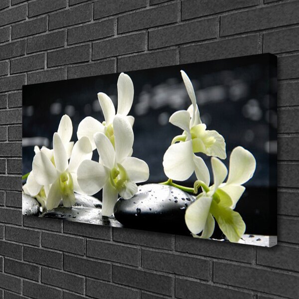 Tablou pe panza canvas Pietre florale flori alb negru