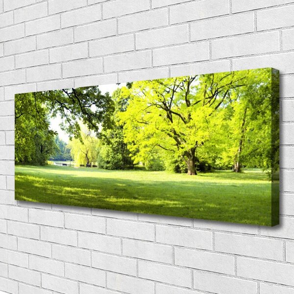 Tablou pe panza canvas Iarbă Copaci Natura Verde Maro