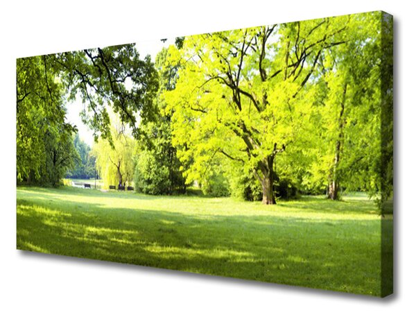 Tablou pe panza canvas Iarbă Copaci Natura Verde Maro