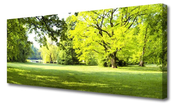 Tablou pe panza canvas Iarbă Copaci Natura Verde Maro
