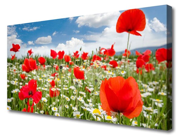 Tablou pe panza canvas Flori Meadow Natura Roșu Alb Verde