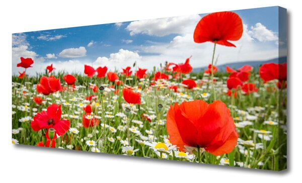 Tablou pe panza canvas Flori Meadow Natura Roșu Alb Verde