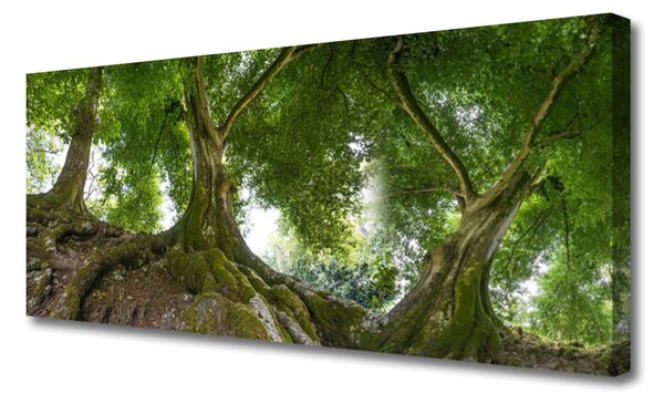 Tablou pe panza canvas Copaci Natura Brun Verde