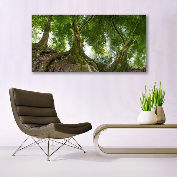 Tablou pe panza canvas Copaci Natura Brun Verde