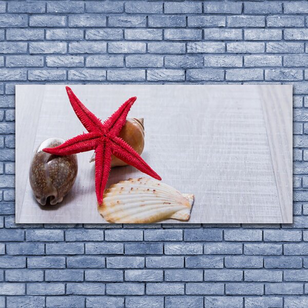 Tablou pe panza canvas Starfish Shell Art Roșu Bej Maro Gri