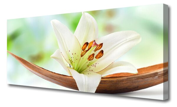 Tablou pe panza canvas Florale flori albe