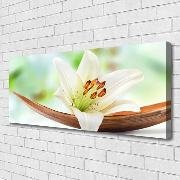 Tablou pe panza canvas Florale flori albe