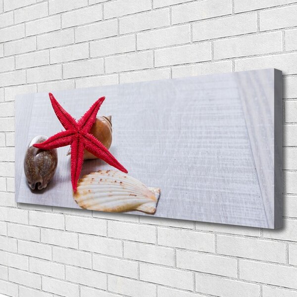 Tablou pe panza canvas Starfish Shell Art Roșu Bej Maro Gri
