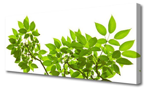 Tablou pe panza canvas Sucursale Frunze Floral verde maro