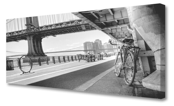 Tablou pe panza canvas Bridge Road Bike Arhitectura Gray