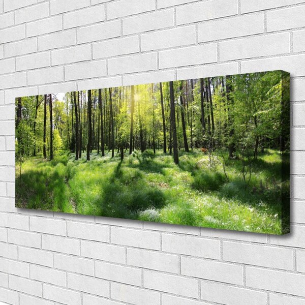 Tablou pe panza canvas Natural Pădurea Verde Maro