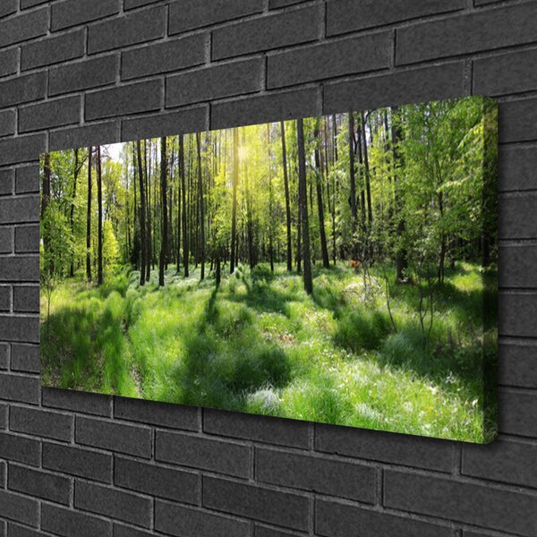 Tablou pe panza canvas Natural Pădurea Verde Maro