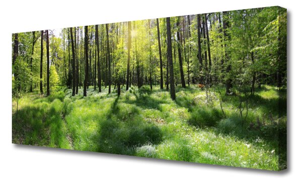 Tablou pe panza canvas Natural Pădurea Verde Maro