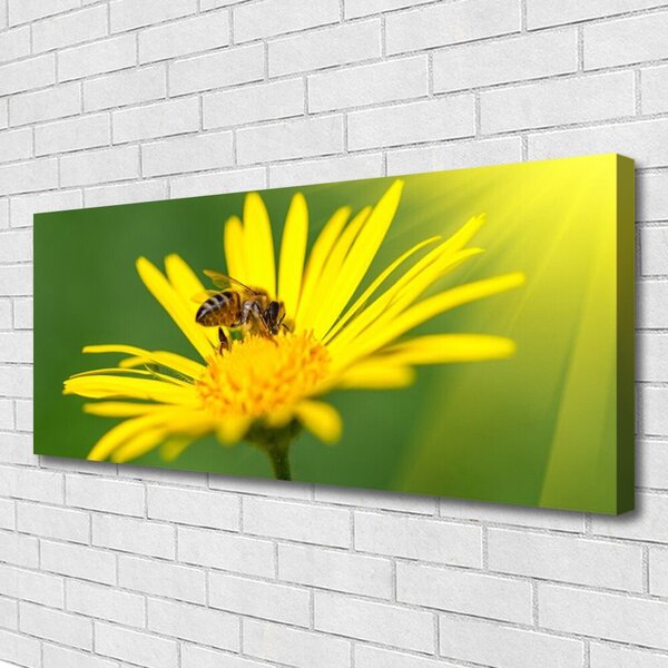 Tablou pe panza canvas Viespe florale flori negru galben