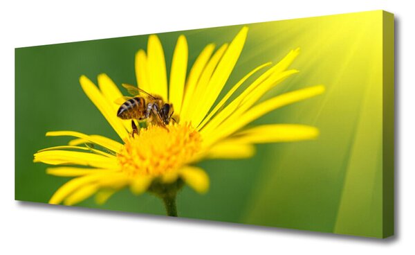 Tablou pe panza canvas Viespe florale flori negru galben