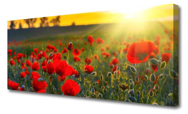 Tablou pe panza canvas Flori Meadow Natura Roșu Verde