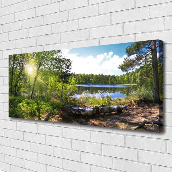 Tablou pe panza canvas Forest Lake Nature Brown Green