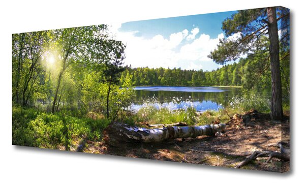 Tablou pe panza canvas Forest Lake Nature Brown Green