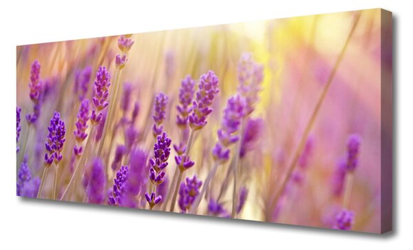 Tablou pe panza canvas Flori roz Floral