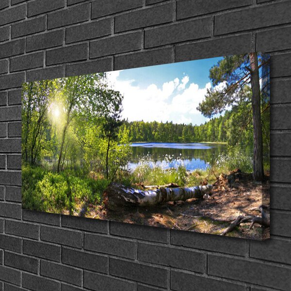 Tablou pe panza canvas Forest Lake Nature Brown Green