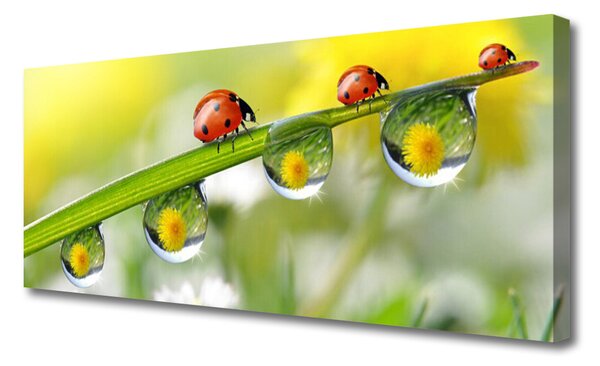 Tablou pe panza canvas Frunze gărgăriță Dewdropfen Natura Verde Roșu Negru