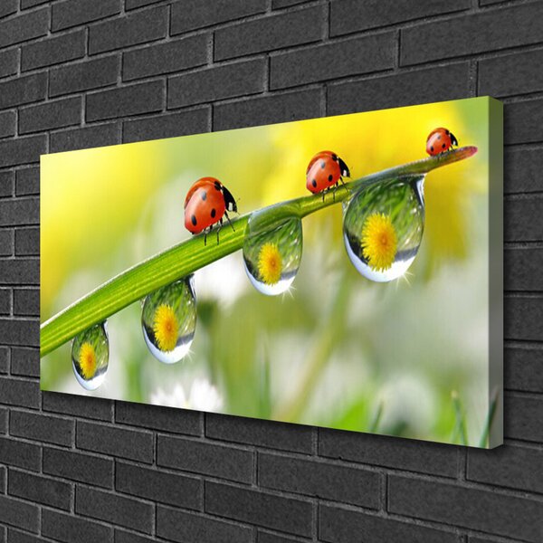 Tablou pe panza canvas Frunze gărgăriță Dewdropfen Natura Verde Roșu Negru