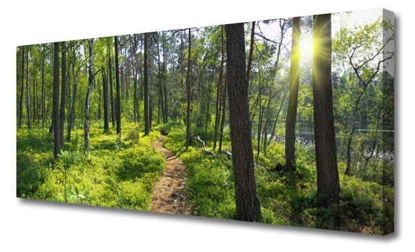 Tablou pe panza canvas Natural Pădurea Verde Maro